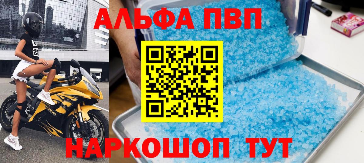 Alfa_PVP СК Саратов