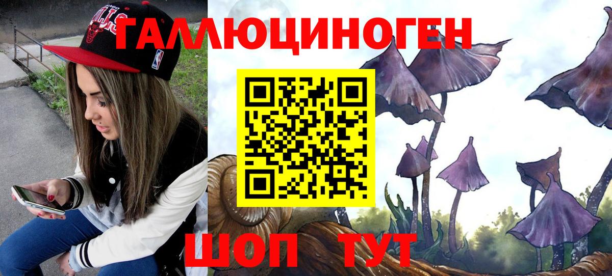 Псилоцибиновые грибы Psilocybe Саратов